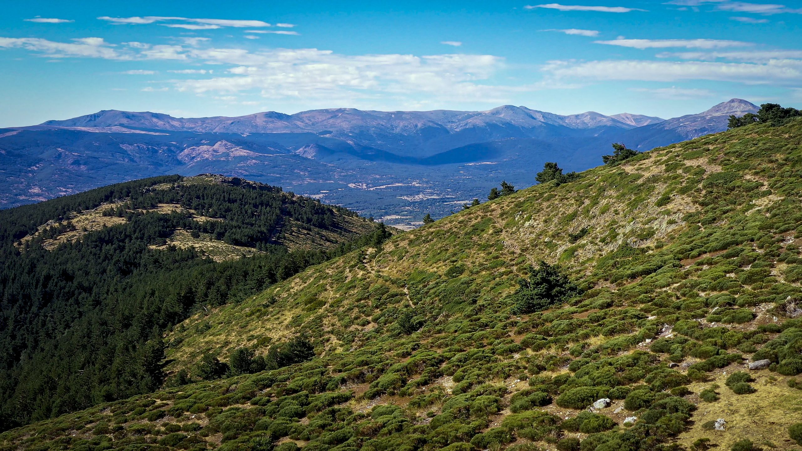 Production Support in Spain